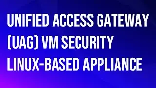 VMware\Omnissa Unified Access Gateway UAG VM security Linux based appliance.