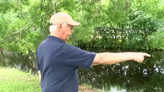 FL: 75 Y/O MAN SAVES DOG FROM 7FT GATOR - CNN