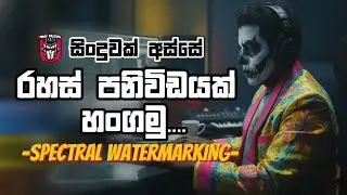 සිංදුවක් අස්සේ රහස් පනිවිඩයක් හංගමු | Audio Spectral Watermarking