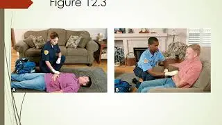 Chapter 12 Obtaining a Medical History and Vital Signs