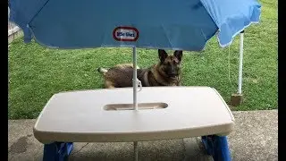 How to assemble the Little tikes Easy Store Picnic Table with Umbrella