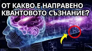 От Какво Се Състои Квантовото Съзнание?