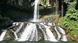 Beautiful 15 Step Waterfall in Lush Green Nature  Relaxing Water Sounds, Lush Waterfall Scene