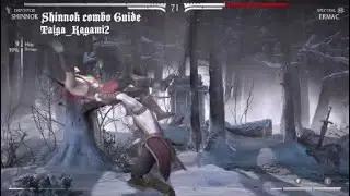 Shinnok combo guide *