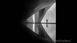 A Portrait of Modern Solitude. #shorts