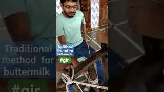 #traditionalmethod # buttermilk #villagelife #dhari#gir