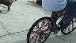 SCAPER BIKE 26''