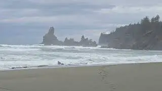 Shi-Shi Beach Trail - Neah Bay, Washington Peninsula 2