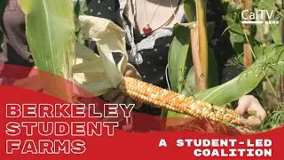 Berkeley Student Farms: A Student-Led Coalition