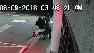 East Bay cops nab El Sobrante Sinclair dinosaur thieves