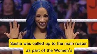 Sasha banks History in WWE Sasha bank journery in WWE