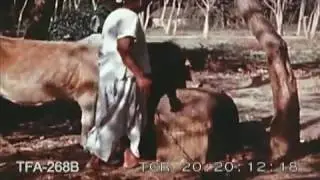 A Family of India (1954)