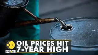 Oil prices hit a record 7-year-high, fears of global energy supply escalate | Business News | WION