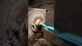 I just realized how scary it is being a gir.#reddit #story #shorts