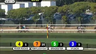 Vyjack - 2014 Kelso S. (G2)