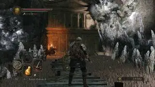 Dark Souls 2 [deutsch] - 40 Ordentlich Wuselfaktor