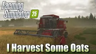 I Harvest Some Oats | Lonely Valley | FS25