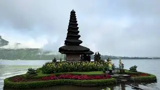 Balivlog2#balinature #ubudbali #riceterraces #balitravel #travelvlog #naturelovers #shortsfeed 