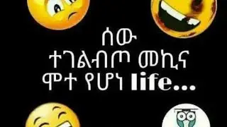 ኖላዊ ክፍል 137