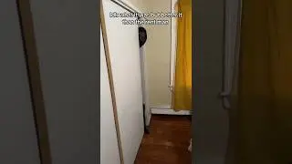 Демонические сущности прячутся в шкафу маленькой девочки #страшныеистории #жутко #жутко