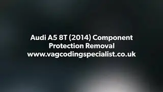 Audi A5 8T TDI 2.0 (2014) Component Protection removal