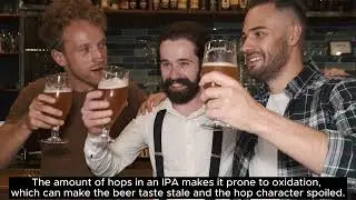 The Best IPA Beers of 2023: A Deep Dive into Hoppy Goodness