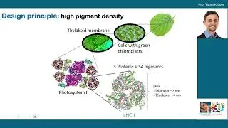 Prof Tjaart Kr&uuml;ger, Unlocking the quantum design of photosynthesis 4 bioinspired solar technologies