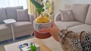 نظفت ورتبت صالون بيتي | صار 😍✨️.يلمع لمع