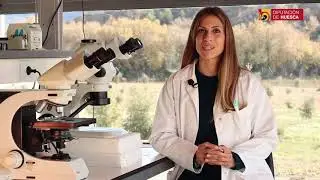 Centro de Investigación y experimentación en truficultura CIET