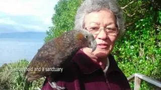 Kapiti Island an overview, Kapiti Island Nature Tours