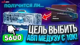 С ЛОУ БАЛИКА ДО АВП МЕДУЗА НА SKINBRO! ЧАСТЬ 1