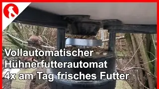 F155 Vollautomatischer zeitgesteuerter Hühnerfutter Automat - bis 4x/Tag frisches Futter nach Zeit