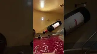 Wine Bath 🛁 Hakone Kowakien Yunessun #shorts #japan #japantravel