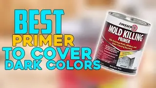 Top 5 Best Paint Primer to Cover Dark Colors in 2024