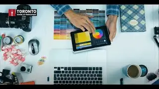 Level up with a Digital Marketing diploma I Study at Toronto School of Management I Canada