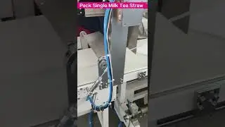 How to Pack Single Milk Tea Straw? #machine #straw #productionfacility #packagingmachinery