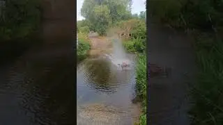 Not fast enough.. water crossing. #traxxas #xrt #watercrossing #scmodels