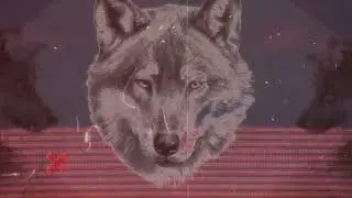 Cjbeards - The One For Me [Lyric Video]