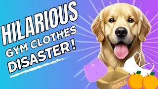 Golden Retriever&rsquo;s Fashion Fail: Hilarious Gym Clothes Disaster!