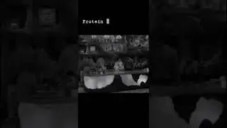 Avisha romantic moments😍💞#eishasingh #avinashmishra #avisha  #trendingshorts #viralshorts #fyp #love