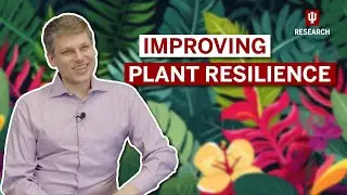 Developing stronger crops with science