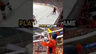 This Fan Saved a Hockey Player Mid-Game!