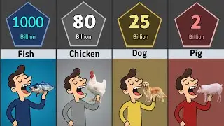 How Many Animals Do Humans Eat Every Year