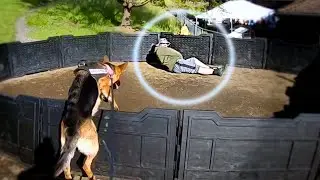 Why you ALWAYS TRUST your dog! | Handler Mistake