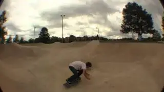 Emerica Stay Gold