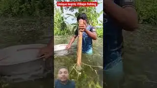 गांव में मछली पकड़ने का जबरदस्त टेक्निक😮#fish#fishing#viral#duet#amazingfishing#shorts#world#diy#sea