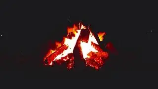 🔥 Campfire. Dark forest with the sounds of nature