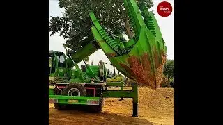 Translocating trees and a runway surrounded by nature: Bengaluru airport goes green