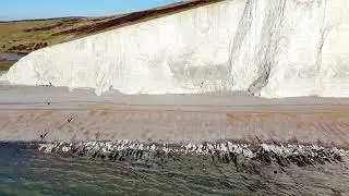 Cuckmere Haven - Beach and Cliffs.