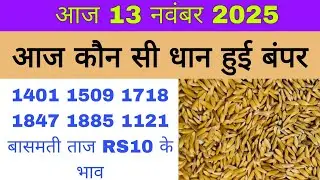 धान का भाव आज 🔴13 नवंबर 2025 | 1509,1121, बासमती | Dhaan Rate Today | Agri Commodity Price